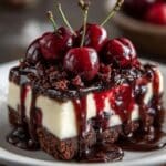 Black Forest Cheesecake 3