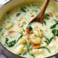 Chicken Gnocchi Soup