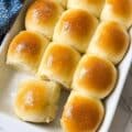 Dinner Rolls
