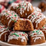 Gingerbread Cookie Bites
