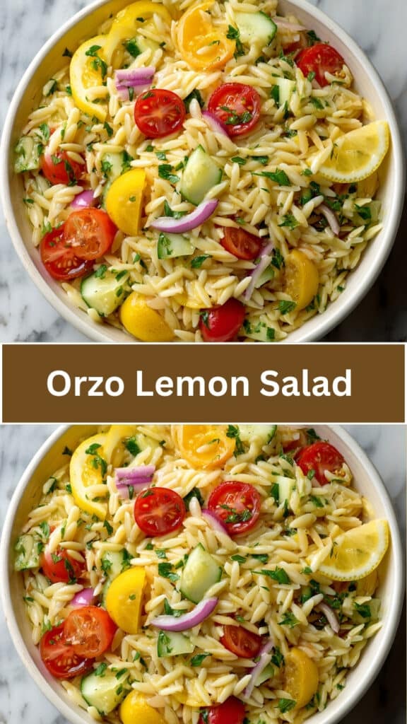 Orzo Lemon Salad 77 Orzo Lemon Salad Fresh Easy Pasta Salad