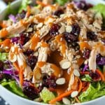 Asian Chicken Cranberry Salad