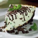 Mint Chocolate Chip Cheesecake