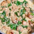 Basil Chicken in Coconut Curry Sauce 1