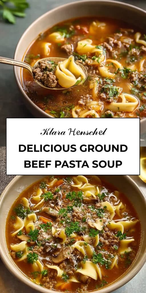 Delicious Ground Beef Pasta Soup 81 Delicious Ground Beef Pasta Soup