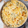 Spinach Artichoke Mac and Cheese