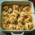 Trader Joes Viral Dumpling Bake