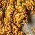 Cajun Dirty Orzo