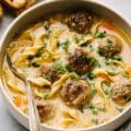 Swedish Meatball Soup