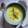 Creamy Celery and Leek Soup