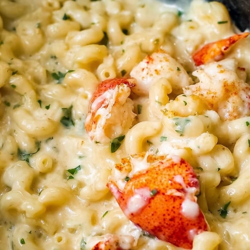 Creamy Lobster Mac and Cheese