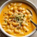 Mac and Cheese Soup