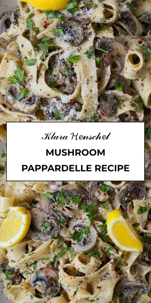 Mushroom Pappardelle Recipe 109 Mushroom Pappardelle Creamy Italian Pasta Recipe 1