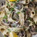 Mushroom Pappardelle Recipe