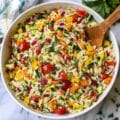 Rainbow Orzo Salad
