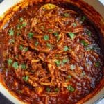 Vegan Birria Tacos Quesabirria Jalisco Style