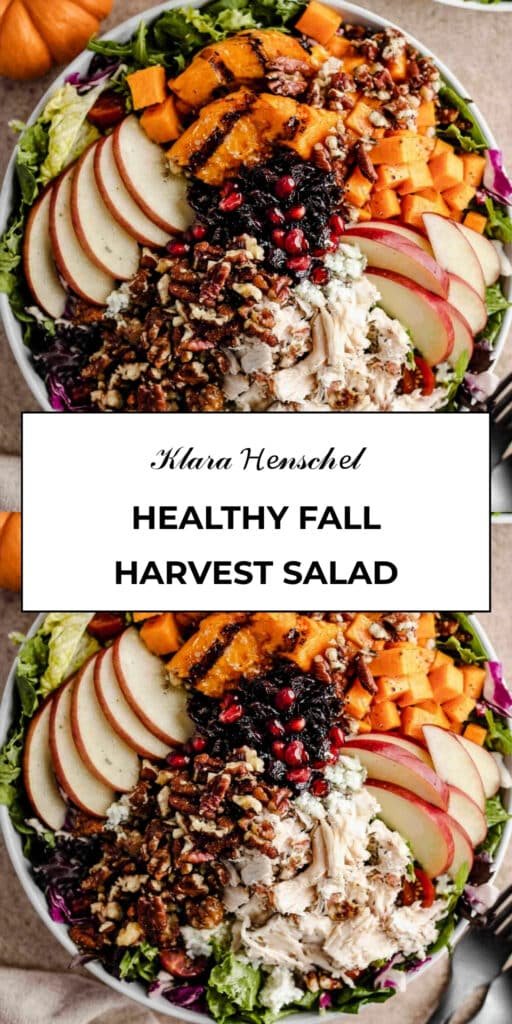 Fall Harvest Salad 5 Fall Harvest Salad Healthy Autumn Salad Recipe