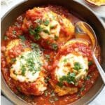 Salsa Chicken