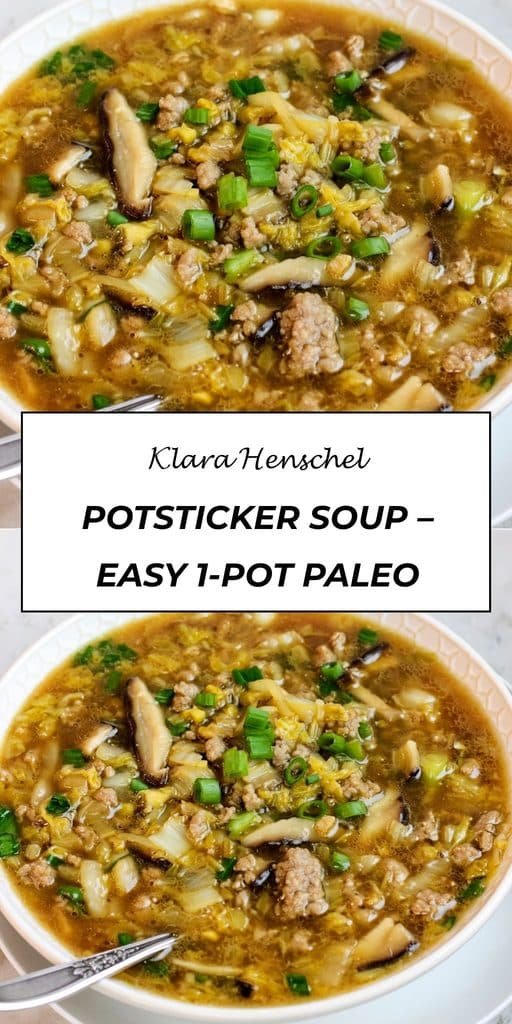 Potsticker Soup (Paleo, AIP, Keto, Whole30, GF) 5 Potsticker Soup – Easy 1 Pot Paleo Keto Whole30 Soup