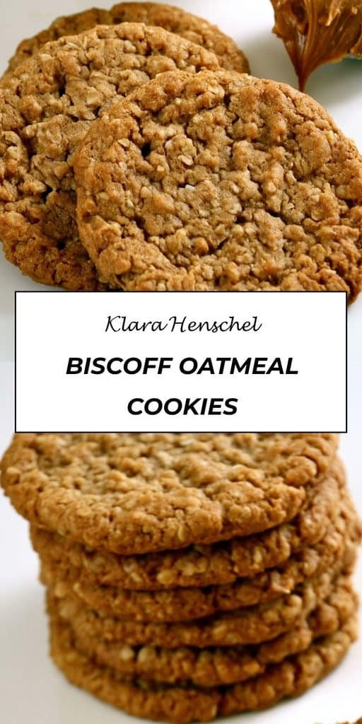 Biscoff Oatmeal Cookies 5 Biscoff Oatmeal Cookies – Soft Chewy Lotus Cookie Copycat